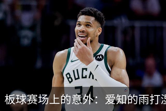 板球赛场上的意外：爱知的雨打湿了期待